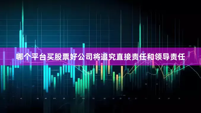 哪个平台买股票好公司将追究直接责任和领导责任