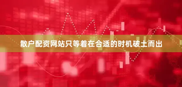 散户配资网站只等着在合适的时机破土而出