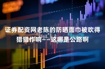 证券配资网老陈的防晒面巾被吹得猎猎作响——这哪是公路啊
