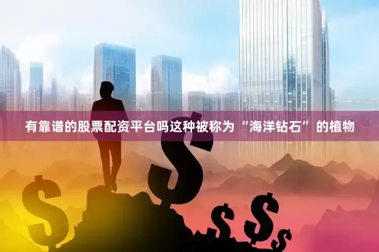 有靠谱的股票配资平台吗这种被称为 “海洋钻石” 的植物