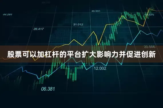 股票可以加杠杆的平台扩大影响力并促进创新